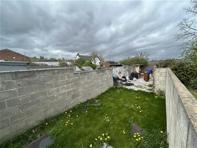 Picture 11